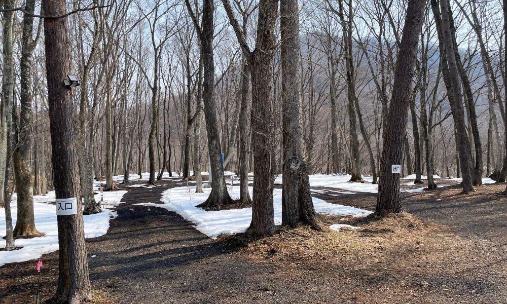 浅間大滝キャンプ場 オートバイサイトと林間サイト