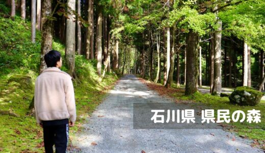 【石川】石川県県民の森で幻想的な森林浴キャンプ