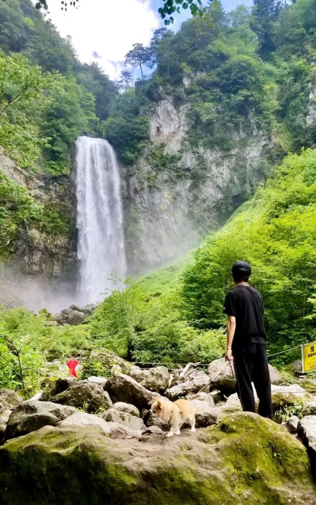 平湯キャンプ場