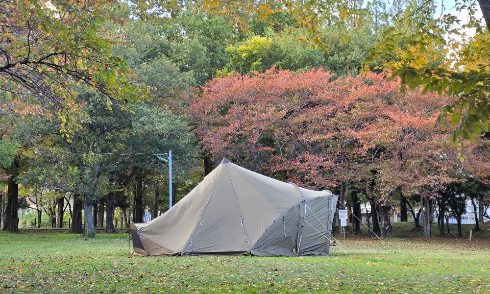 グリーンパーク山東 フリーサイトに設営したテント