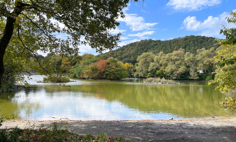 グリーンパーク山東 三島池の景色