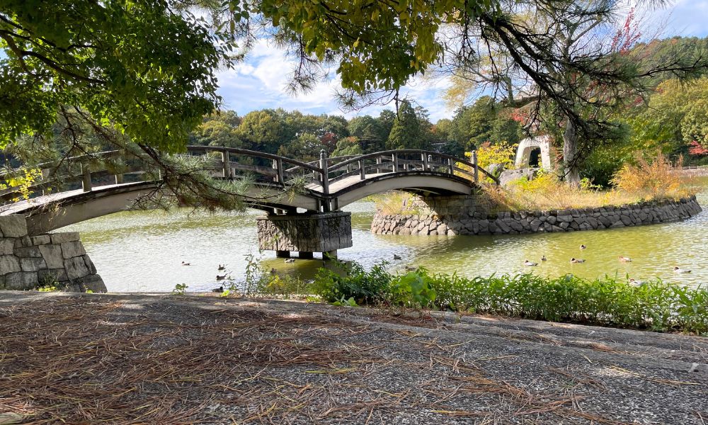 グリーンパーク山東 三島池の小さな橋