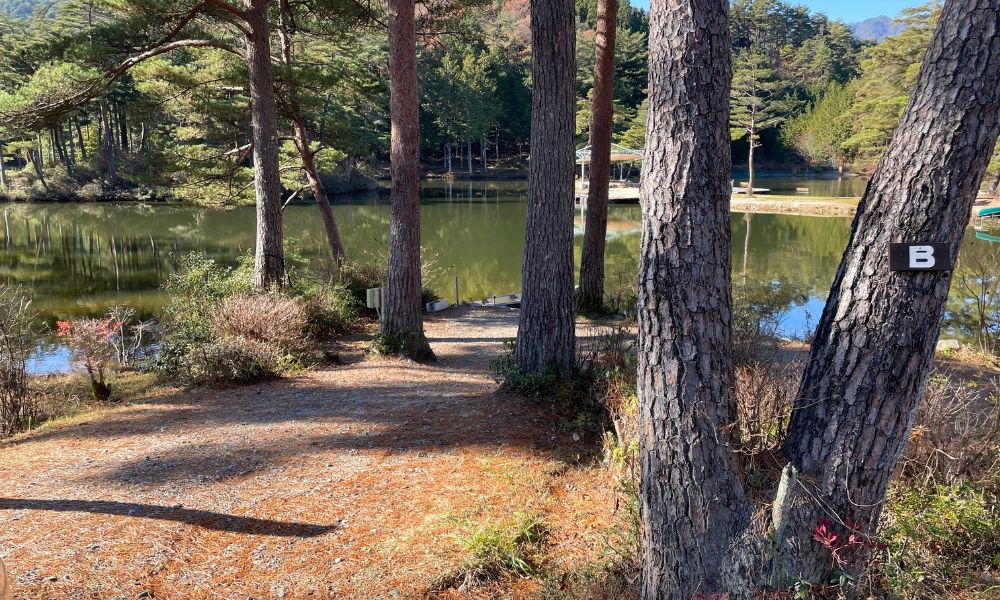 おおぐて湖キャンプ場 サイトB