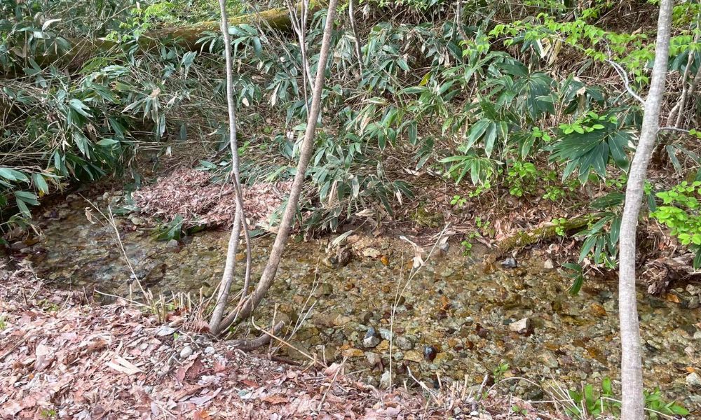 山のハコ-camp studio- リバーオートサイトに流れる小さな川